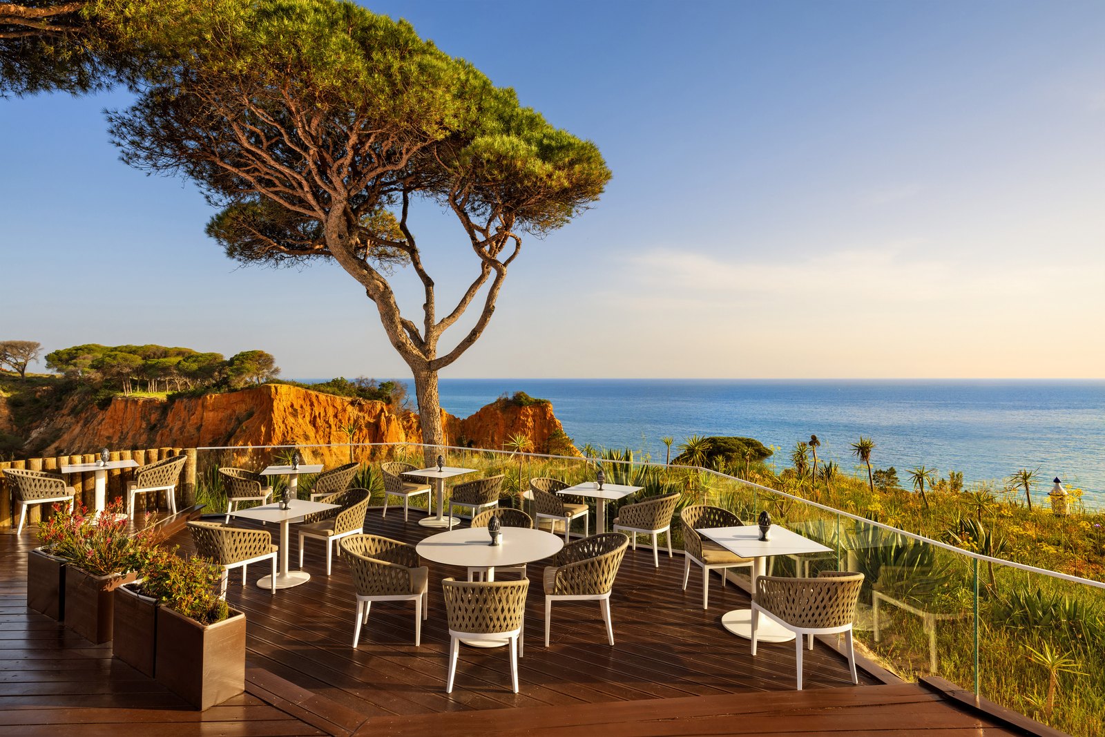 The cliff-top champagne bar under a stone pine above the ocean, Pine Cliffs, Albufeira The cliff-top champagne bar under a stone pine above the ocean, Pine Cliffs, Albufeira