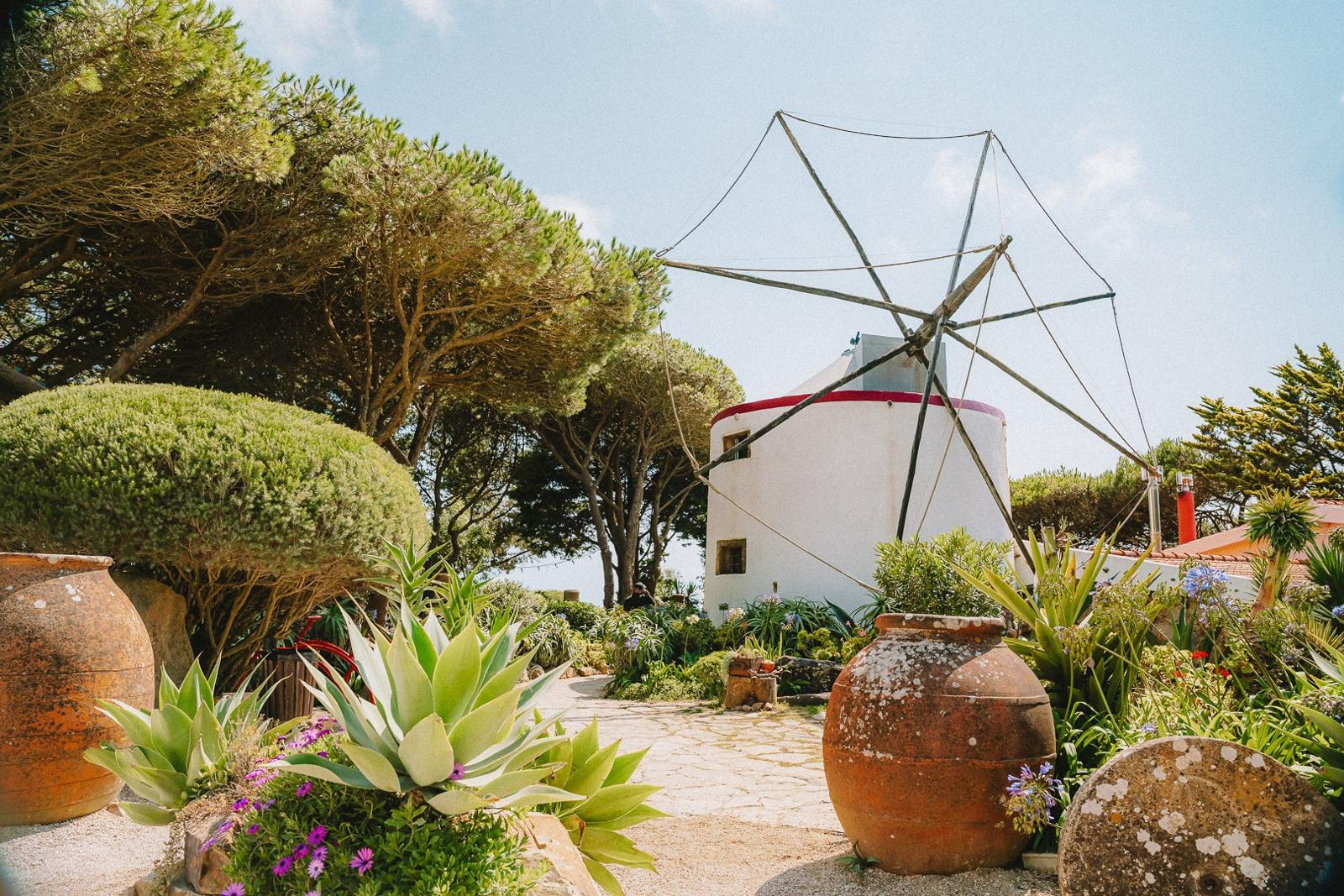 Restored white windmill in a garden of agaves and olive pots at Moinho Dom Quixote, Azóia, near Cabo da Roca