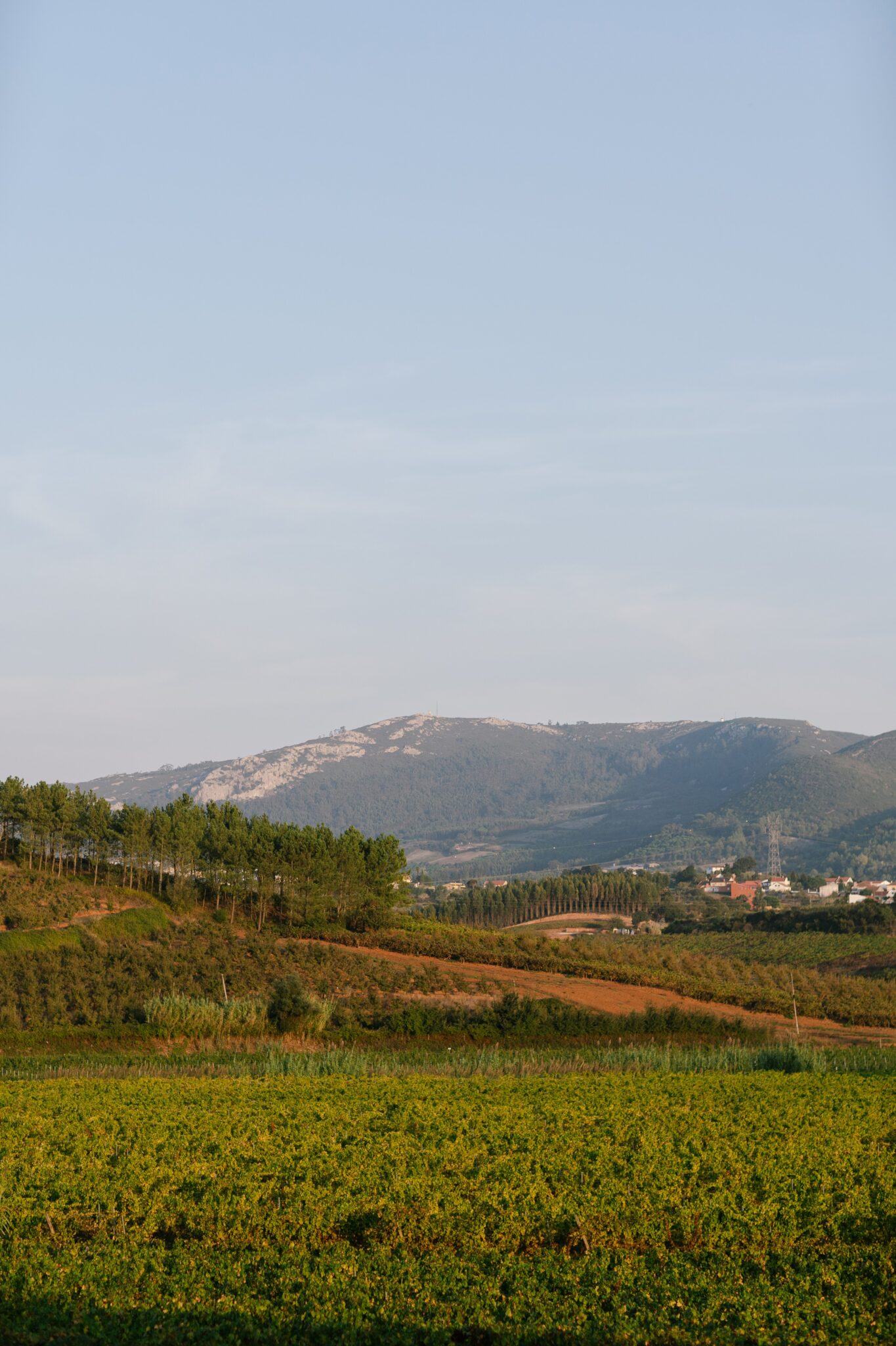 Countryside landscape view near Óbidos, Portugal at sunset